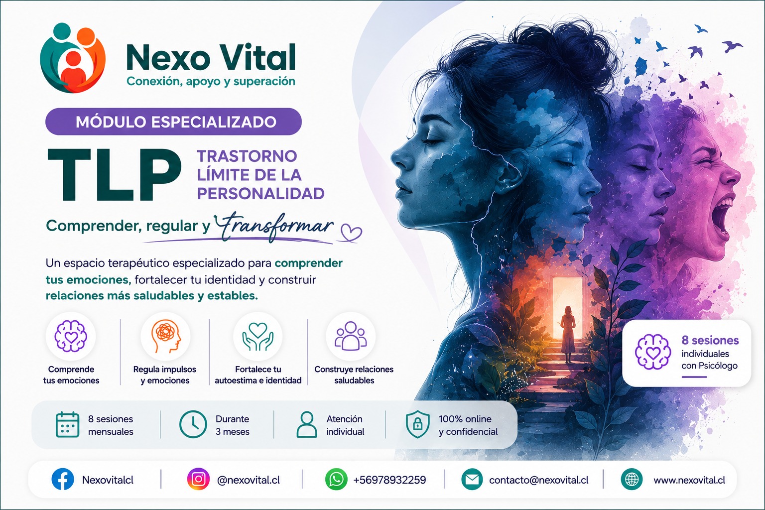 Módulo Especializado TLP